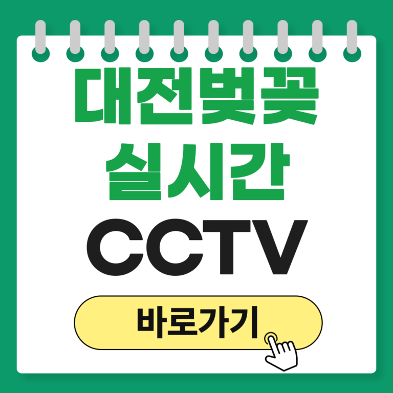 대전 벚꽂